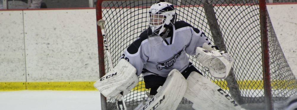 Logan Crisp Commits to Play College Hockey for York College of Pennsylvania | Elite Junior Profiles
