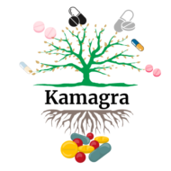 Best Place To Buy Kamagra Online At Discount Price In US